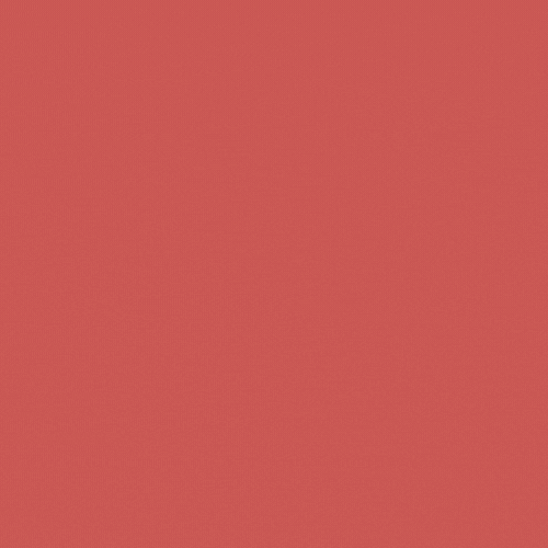 logo intro animation